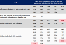 71 Stocks Denied Margin Trading on HOSE in Q1, Including New Listings