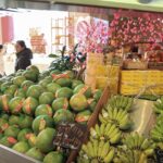 Rural Vietnam: The Long-Term Runway for Modern Retail Growth