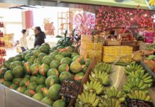 Rural Vietnam: The Long-Term Runway for Modern Retail Growth