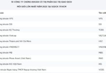 How Will the HoSE Brokerage Market Share Fluctuate in 2025?