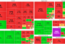 Market Pulse 05/01: Financial Sector Faces Heavy Selling, VN-Index Narrows Gains