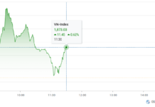 Market Pulse 08/01: VN-Index Closes in the Red Amid Unexpected Correction