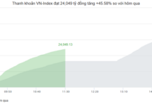 Market Pulse 12/01: Financial Sector Leads the Charge, VN-Index Sustains Strong Green Momentum