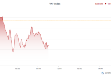 Market Pulse 27/01: Oil & Gas, Healthcare Stocks Shine as Top Performers