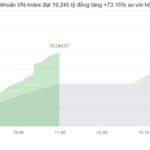 Market Pulse 28/01: Capital Flees Vingroup Stocks, VN-Index Slides Closer to 1,800 Mark