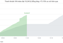 Market Pulse 28/01: Capital Flees Vingroup Stocks, VN-Index Slides Closer to 1,800 Mark