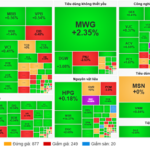 Market Pulse 30/01: VN-Index Extends Recovery, Energy and Non-Essential Consumer Sectors Shine