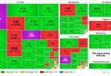 Market Pulse 13/01: VN-Index Nears 1,900, Banking Sector Faces Selling Pressure
