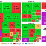 Market Pulse 13/01: Purple Wave Sweeps Across Energy Sector