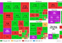 Market Pulse 13/01: Purple Wave Sweeps Across Energy Sector