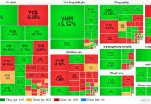 Market Pulse 20/01: Sellers Dominate, VN-Index Fails to Reclaim 1,900 Mark