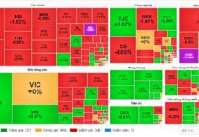 Market Pulse 06/01: Afternoon Inflow Revives Trading, VN-Index Surges Past 1,800 Milestone
