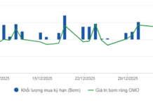 Central Bank Executes Robust Net Withdrawal in Open Market Operations