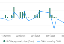Central Bank Maintains Net Inflow Momentum in Open Market Operations