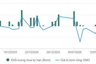 Central Bank Maintains Net Inflow Momentum in Open Market Operations