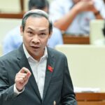 State-Owned Economy and the Imperative of Innovation: Reforms Must Be Implemented Decisively and Effectively