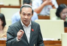 State-Owned Economy and the Imperative of Innovation: Reforms Must Be Implemented Decisively and Effectively