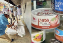 Ministry of Agriculture and Environment Investigates ‘Contaminated’ Streetlight Paste Linked to Sick Pigs