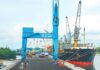 “Seaport Company Records $6 Trillion Profit, Achieves Historic EPS of 7,350 VND, with Cash Comprising 50% of Assets”