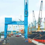 “Seaport Company Records $6 Trillion Profit, Achieves Historic EPS of 7,350 VND, with Cash Comprising 50% of Assets”