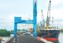 “Seaport Company Records $6 Trillion Profit, Achieves Historic EPS of 7,350 VND, with Cash Comprising 50% of Assets”