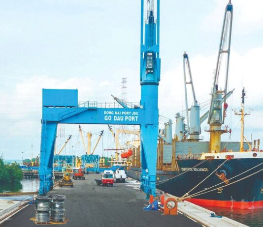 “Seaport Company Records $6 Trillion Profit, Achieves Historic EPS of 7,350 VND, with Cash Comprising 50% of Assets”