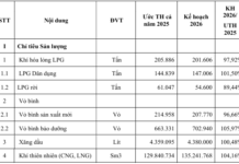Gas South (PGS) Projects 2026 Profit Decline, Marking a 5-Year Low