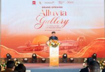 Unveiling Alluvia Gallery: The Premier Experiential Space in Alluvia City’s Thermal Mineral Urban Oasis