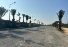 Accelerated Infrastructure, Shifting Capital: The Sensia Redefines Urban Standards in Nghe An