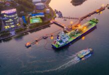 Petrolimex: Pioneering Energy Conglomerate Strategies in the New Era