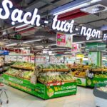 WinCommerce Targets 764 New Stores, Aims for $1.6 Billion Revenue by 2025