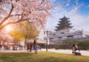 “Korean Travel Enthusiasts Embrace the ‘Buy Now, Pay Later’ Trend in the Land of the Morning Calm”