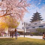 “Korean Travel Enthusiasts Embrace the ‘Buy Now, Pay Later’ Trend in the Land of the Morning Calm”
