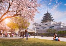“Korean Travel Enthusiasts Embrace the ‘Buy Now, Pay Later’ Trend in the Land of the Morning Calm”
