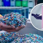 German Innovation Revolutionizes Bioplastics: Transforming Straw and Bagasse into Eco-Friendly Plastics—Could This Be Vietnam’s Solution to 150 Million Tons of Annual Agricultural Waste?