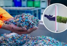 German Innovation Revolutionizes Bioplastics: Transforming Straw and Bagasse into Eco-Friendly Plastics—Could This Be Vietnam’s Solution to 150 Million Tons of Annual Agricultural Waste?