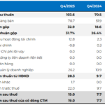 DHA Stock Plummets Despite Q4 Profits Surging 2.5x