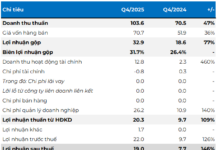 DHA Stock Plummets Despite Q4 Profits Surging 2.5x