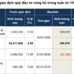 Optimizing Portfolio Allocation Strategies During Q4 Earnings Season