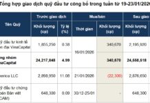 Optimizing Portfolio Allocation Strategies During Q4 Earnings Season