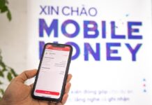 Government Issues Regulations on Mobile Money Service Launch and Usage