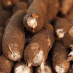 Vietnam’s “White Gold” Underground Treasure: A Billion-Dollar Export in Global Top 3 Faces Challenges