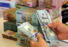 Vietnam’s Economic Landscape in 2025 and Forecasts for 2026