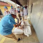 Halong Canned Food JSC Scandal: African Swine Fever Virus Detected in Finished Products