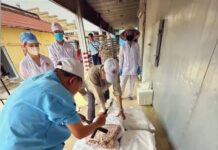 Halong Canned Food JSC Scandal: African Swine Fever Virus Detected in Finished Products