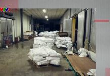 Exclusive Look Inside Ha Long Canned Food Company’s Warehouse Holding 120 Tons of Rotten, Foul-Smelling Pork