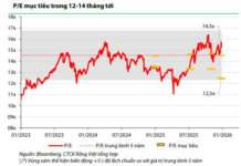 “Stocks ‘Cheap by the Crowd, Expensive by the Index’: Brokerages Highlight Key Investment Opportunities for 2026”