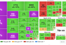 Experts Explain Why Bank and Securities Stocks Plummeted on the Morning of December 12th