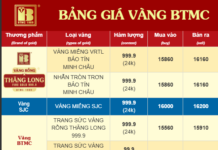 SJC Gold Price, Ring Gold Price Update for the Afternoon of September 13th