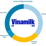 State Shareholders Unable to Divest Vinamilk Stake, Stock Surges to Daily Limit
